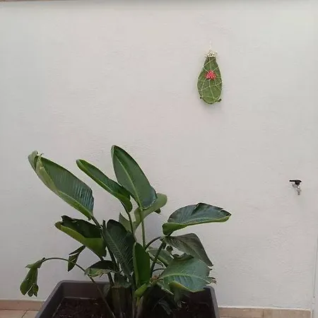 Magia 114 Apartament *