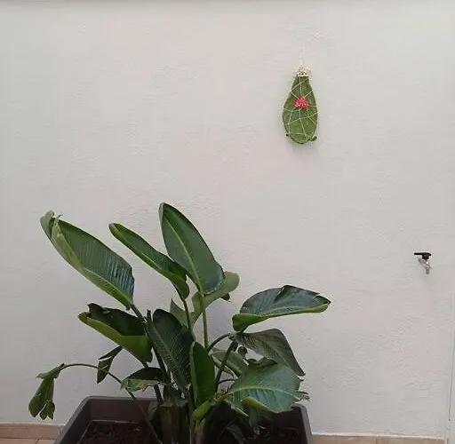 Magia 114 Апартаменты *